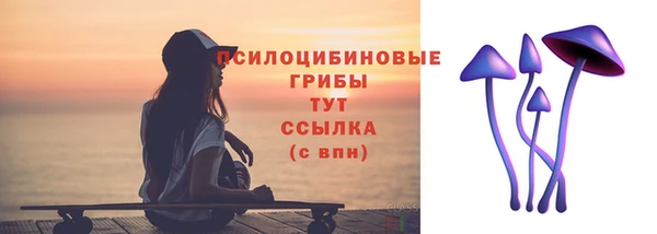 твердый Медвежьегорск