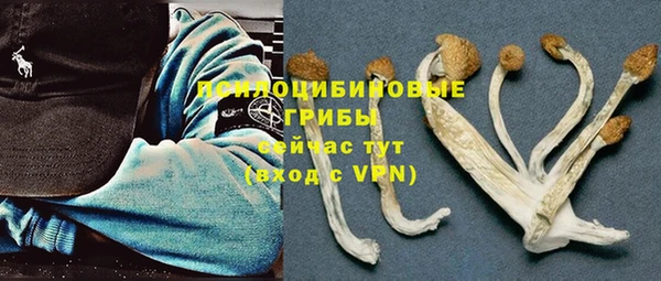 jwh Мегион