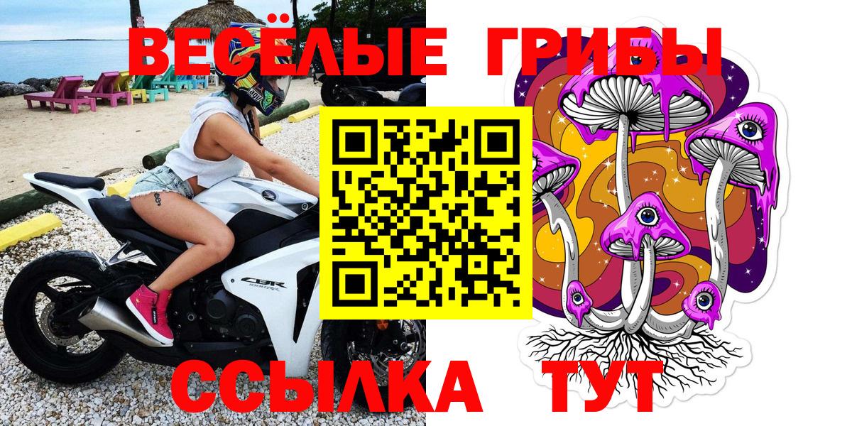 Кыштым  Галлюциногенные грибы MAGIC MUSHROOMS  Галлюциногенные грибы MAGIC MUSHROOMS  Вход с VPN 